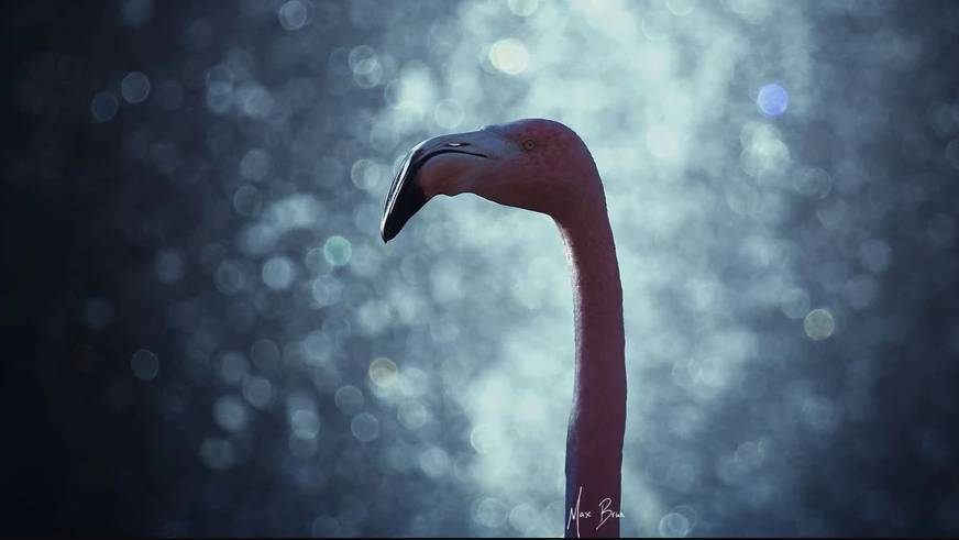 Blur (Bokeh)