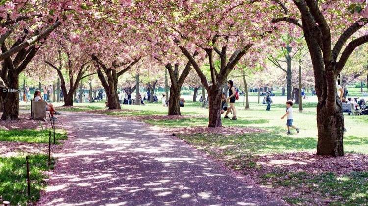 Gardens & Parks