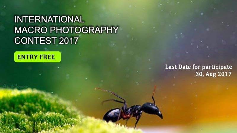 International Macro Photography Contest 2017