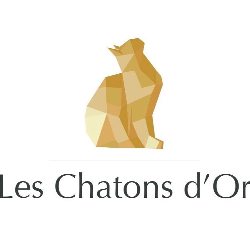 Les Chaton d'or