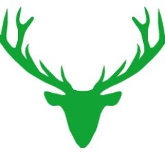 The Motif Collective