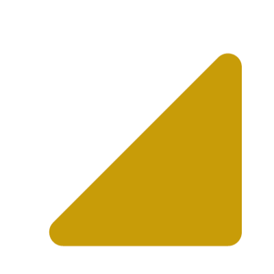 World Photography Organisation
